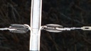ACC697476_2