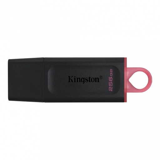 Memoria USB Kingston DataTraveler Exodia 256GB USB A