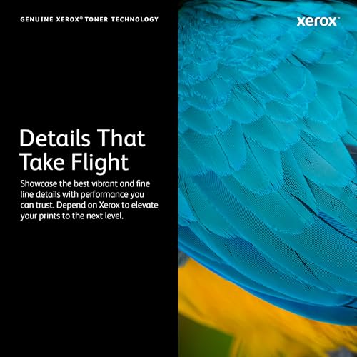 [PRI7128] Kit de mantenimiento xerox del escaner versalink b415/c415/c625