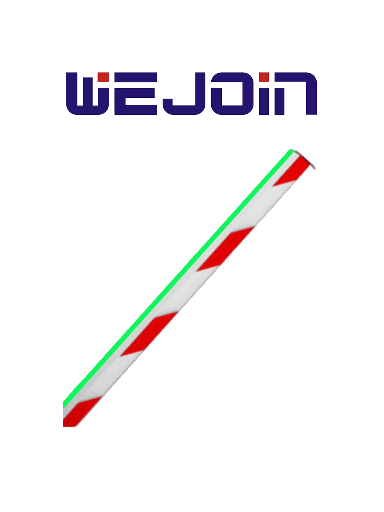 [SEC1278] Brazo Recto LED WEJOIN WJLBM6 6 m Octagonal, Compatible con Barreras Wejoin WJDZ120L66 WJDZ120R66