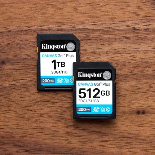 [SNR139305] Memoria flash sd kingston sdxc canvas go plus 64gb 200mb s c10 uhs-i u3 v30 (sdg4