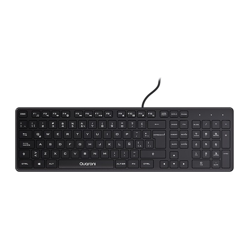 [KNM181077] Teclado Estándar QUARONI TAQ01 USB Alámbrico